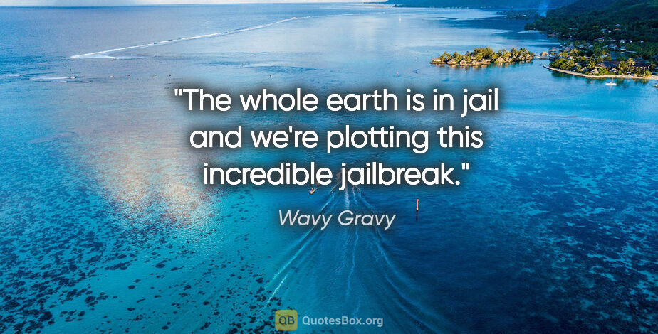 Wavy Gravy quote: "The whole earth is in jail and we're plotting this incredible..."