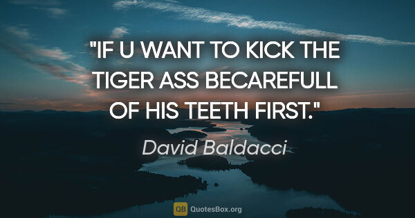 David Baldacci quote: "IF U WANT TO KICK THE TIGER ASS BECAREFULL OF HIS TEETH FIRST."