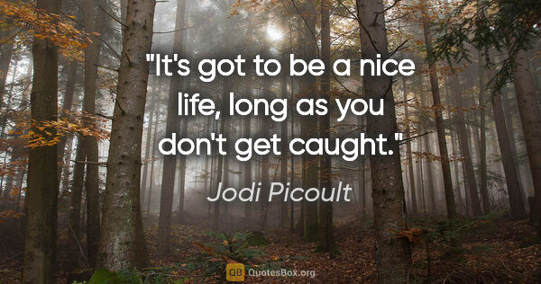Jodi Picoult quote: "It's got to be a nice life, long as you don't get caught."