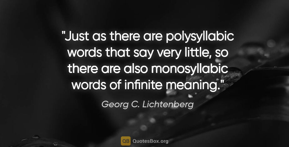 Georg C. Lichtenberg quote: "Just as there are polysyllabic words that say very little, so..."