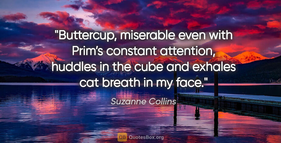 Suzanne Collins quote: "Buttercup, miserable even with Prim’s constant attention,..."