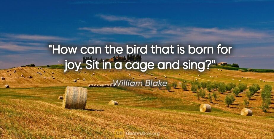 William Blake quote: "How can the bird that is born for joy. Sit in a cage and sing?"