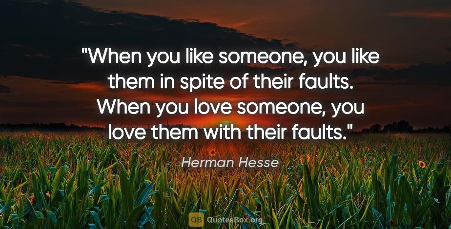 Herman Hesse quote: "When you like someone, you like them in spite of their faults...."