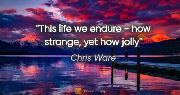 Chris Ware quote: "This life we endure - how strange, yet how jolly"
