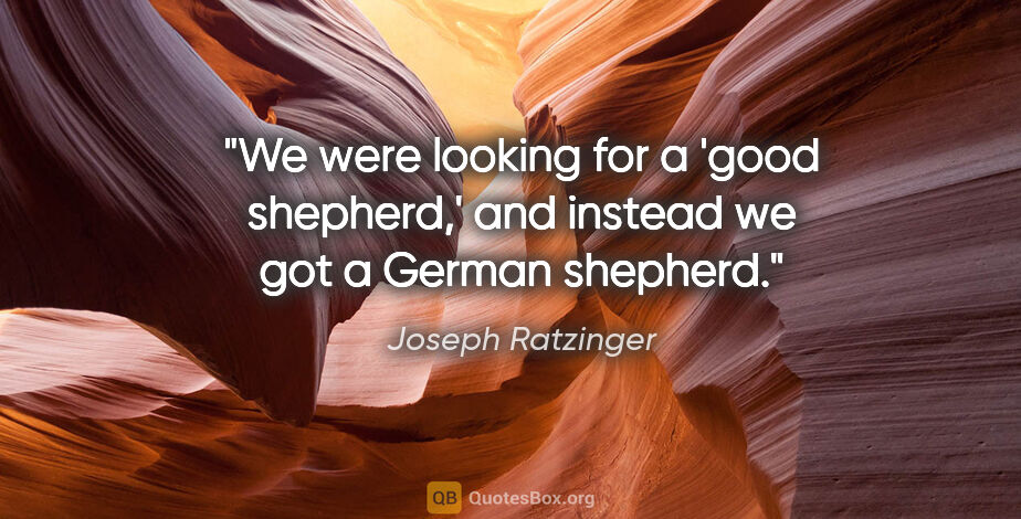 Joseph Ratzinger quote: "We were looking for a 'good shepherd,' and instead we got a..."