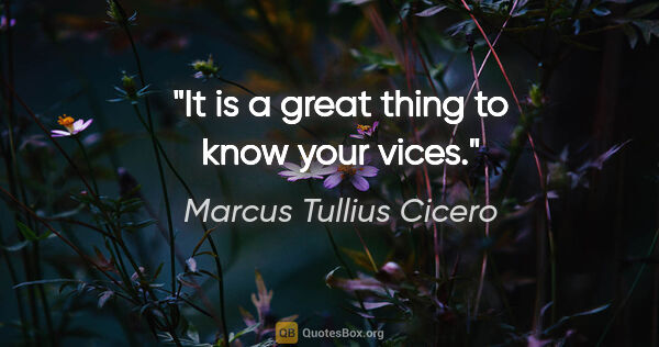 Marcus Tullius Cicero quote: "It is a great thing to know your vices."