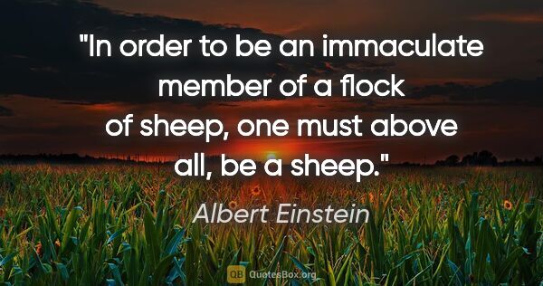 Albert Einstein quote: "In order to be an immaculate member of a flock of sheep, one..."