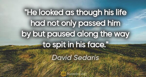 David Sedaris quote: "He looked as though his life had not only passed him by but..."