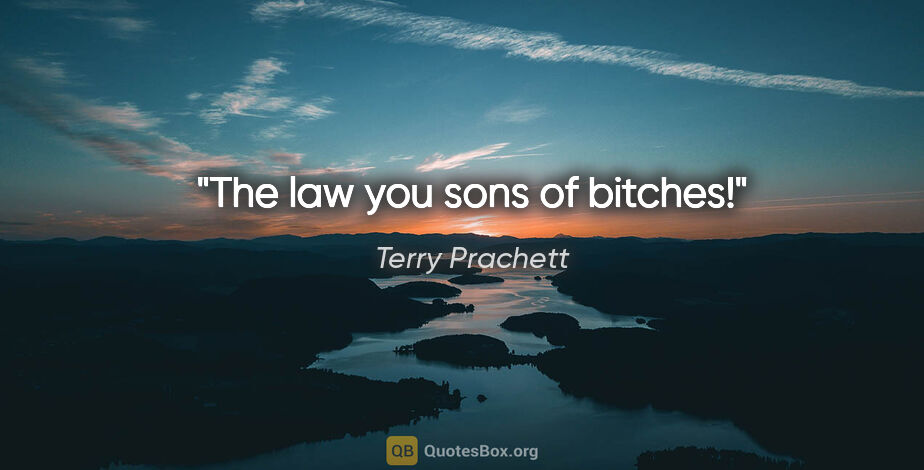 Terry Prachett quote: "The law you sons of bitches!"