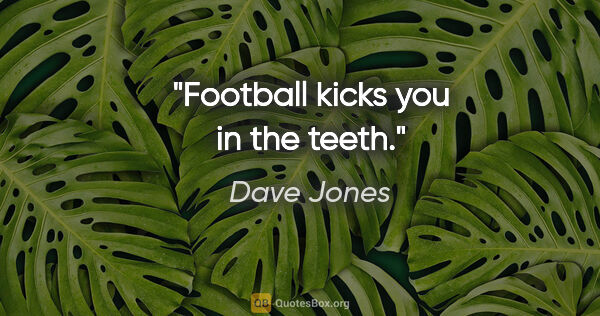 Dave Jones quote: "Football kicks you in the teeth."