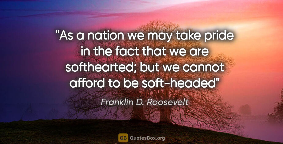 Franklin D. Roosevelt quote: "As a nation we may take pride in the fact that we are..."