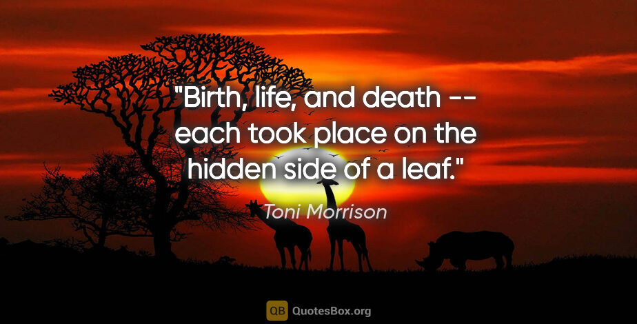 Toni Morrison quote: "Birth, life, and death -- each took place on the hidden side..."