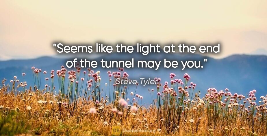 Steve Tyler quote: "Seems like the light at the end of the tunnel may be you."