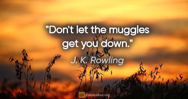 J. K. Rowling quote: "Don't let the muggles get you down."