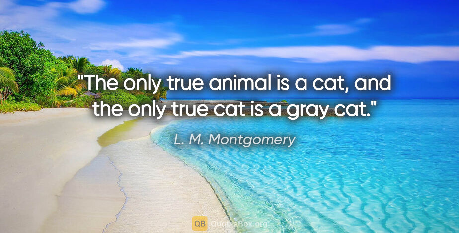 L. M. Montgomery quote: "The only true animal is a cat, and the only true cat is a gray..."
