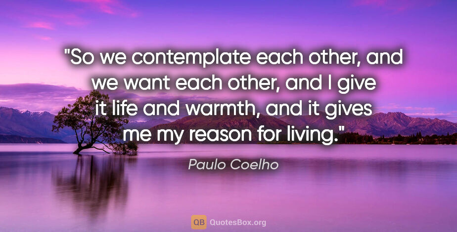 Paulo Coelho quote: "So we contemplate each other, and we want each other, and I..."