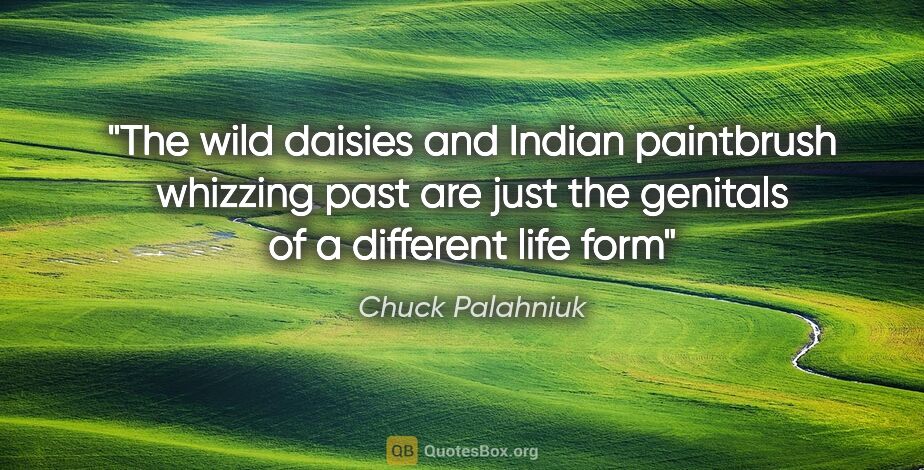 Chuck Palahniuk quote: "The wild daisies and Indian paintbrush whizzing past are just..."