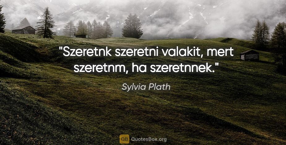 Sylvia Plath quote: "Szeretnk szeretni valakit, mert szeretnm, ha szeretnnek."
