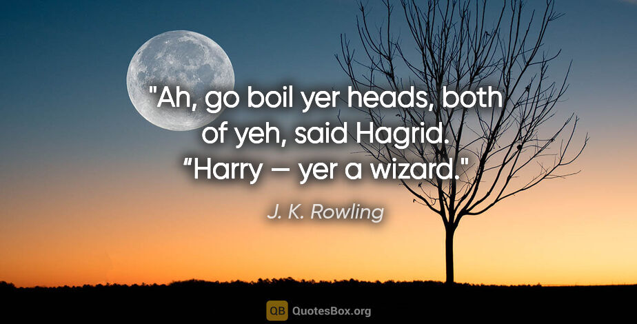 J. K. Rowling quote: "Ah, go boil yer heads, both of yeh", said Hagrid. “Harry — yer..."