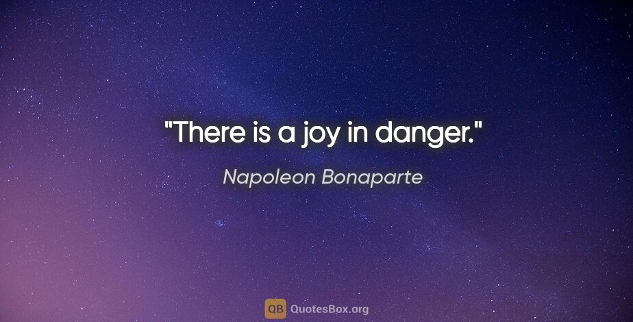 Napoleon Bonaparte quote: "There is a joy in danger."