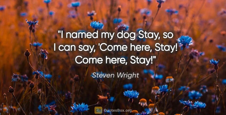 Steven Wright quote: "I named my dog Stay, so I can say, 'Come here, Stay! Come..."