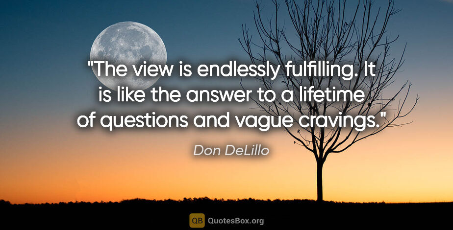 Don DeLillo quote: "The view is endlessly fulfilling. It is like the answer to a..."