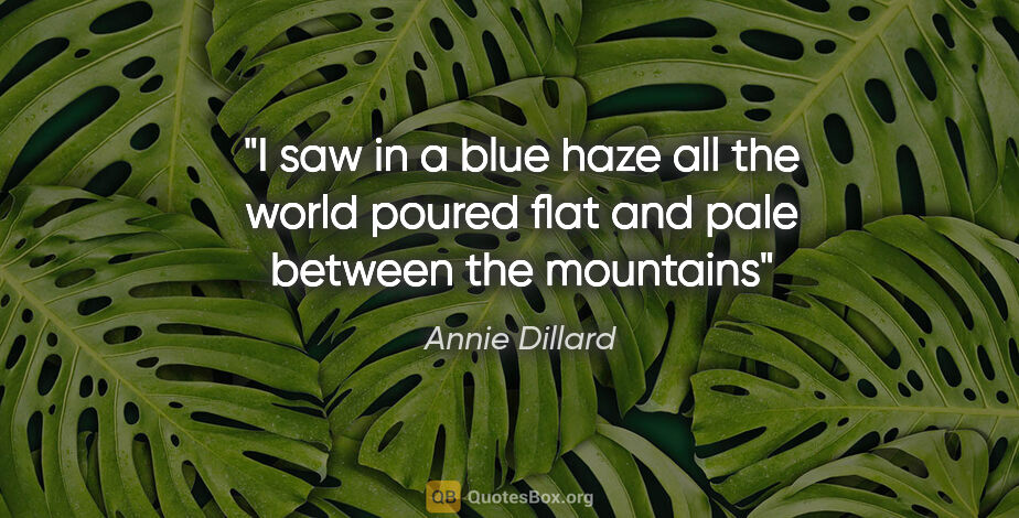 Annie Dillard quote: "I saw in a blue haze all the world poured flat and pale..."