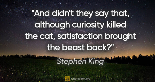 Stephen King quote: "And didn't they say that, although curiosity killed the cat,..."