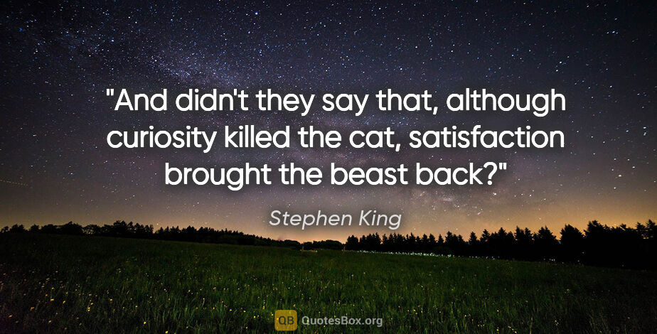 Stephen King quote: "And didn't they say that, although curiosity killed the cat,..."