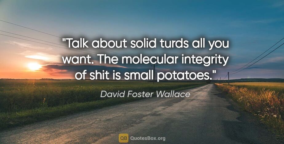 David Foster Wallace quote: "Talk about solid turds all you want. The molecular integrity..."