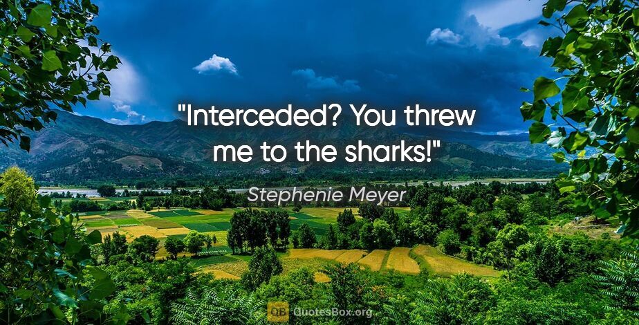 Stephenie Meyer quote: "Interceded? You threw me to the sharks!"