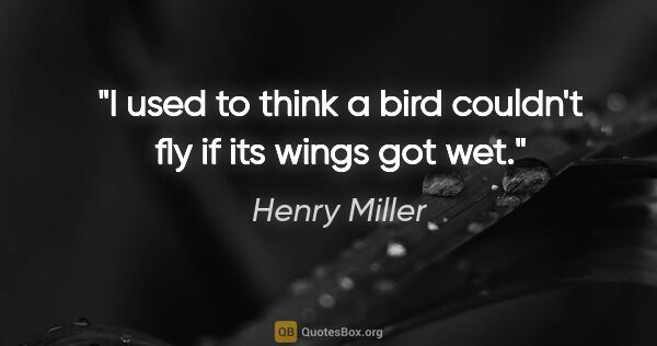 Henry Miller quote: "I used to think a bird couldn't fly if its wings got wet."