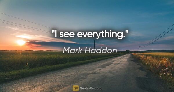 Mark Haddon quote: "I see everything."