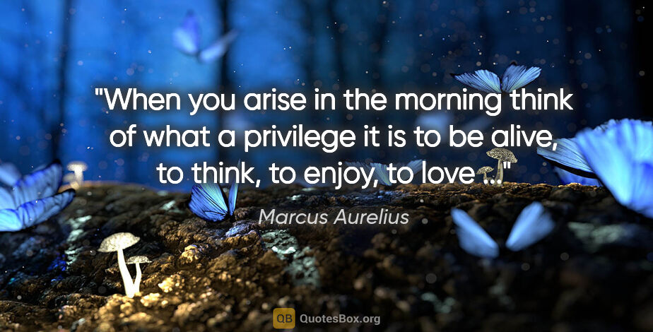 Marcus Aurelius quote: "When you arise in the morning think of what a privilege it is..."