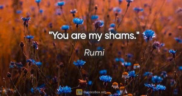 Rumi quote: "You are my shams."