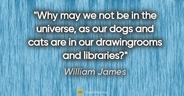 William James quote: "Why may we not be in the universe, as our dogs and cats are in..."