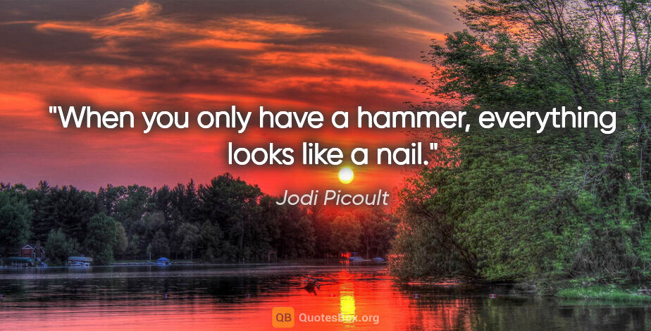 Jodi Picoult quote: "When you only have a hammer, everything looks like a nail."
