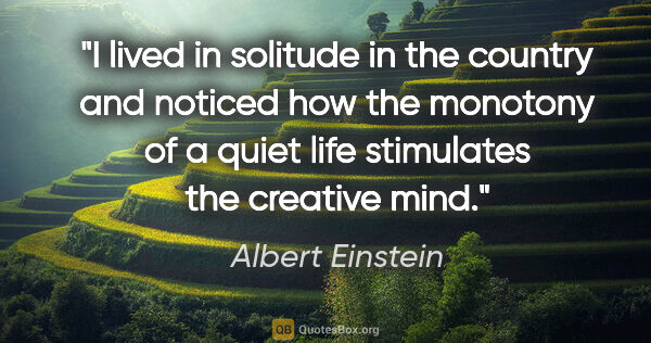 Albert Einstein quote: "I lived in solitude in the country and noticed how the..."