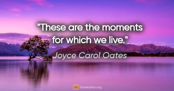 Joyce Carol Oates quote: "These are the moments for which we live."