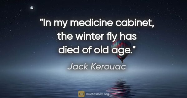 Jack Kerouac quote: "In my medicine cabinet, the winter fly has died of old age."