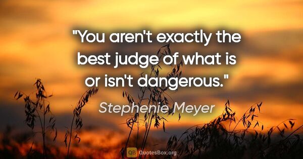 Stephenie Meyer quote: "You aren't exactly the best judge of what is or isn't dangerous."