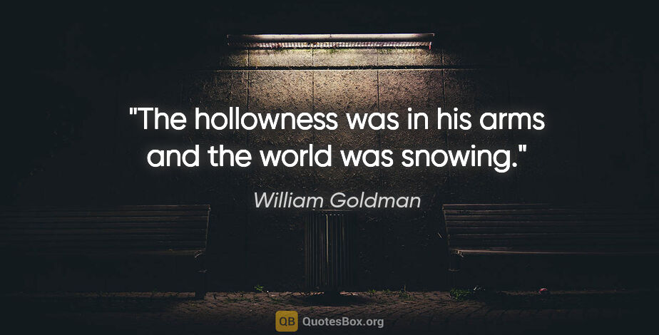William Goldman quote: "The hollowness was in his arms and the world was snowing."