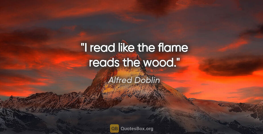 Alfred Doblin quote: "I read like the flame reads the wood."