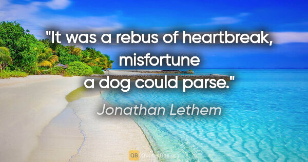 Jonathan Lethem quote: "It was a rebus of heartbreak, misfortune a dog could parse."