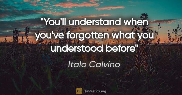 Italo Calvino quote: "You'll understand when you've forgotten what you understood..."