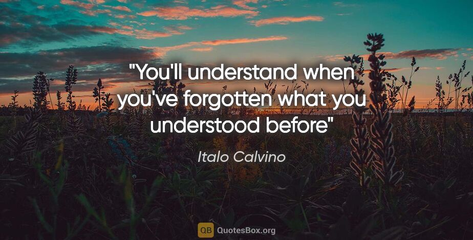 Italo Calvino quote: "You'll understand when you've forgotten what you understood..."