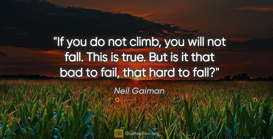 Neil Gaiman quote: "If you do not climb, you will not fall. This is true. But is..."