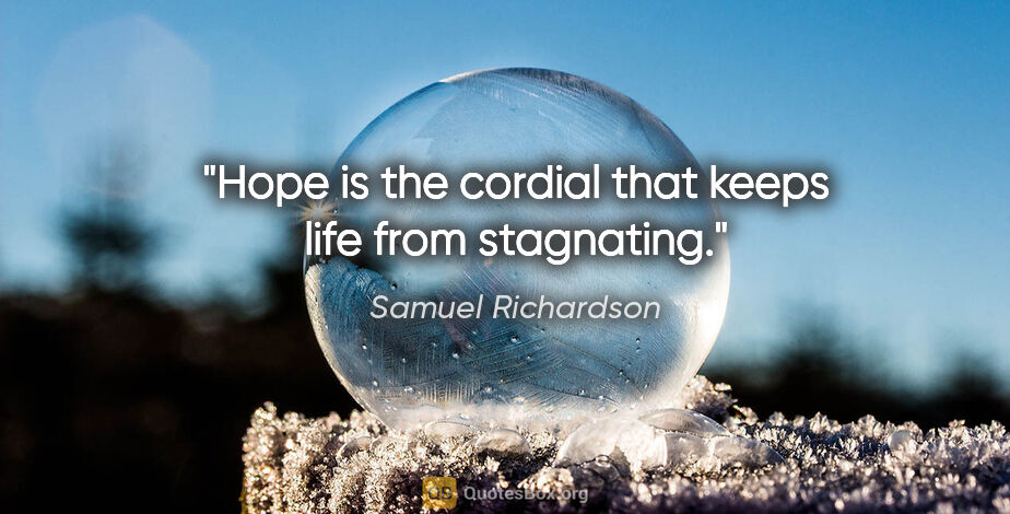 Samuel Richardson quote: "Hope is the cordial that keeps life from stagnating."