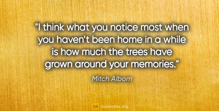 Mitch Albom quote: "I think what you notice most when you haven’t been home in a..."