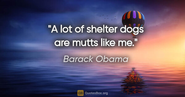 Barack Obama quote: "A lot of shelter dogs are mutts like me."